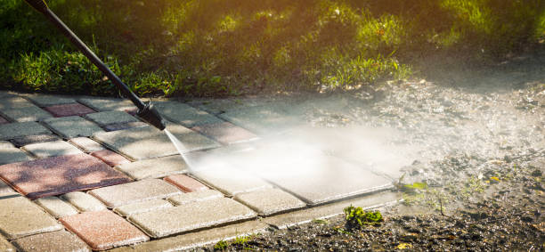 Best Sidewalk and Walkway Cleaning  in Harrodsburg, KY